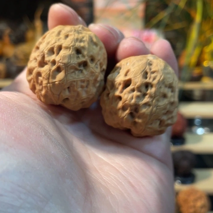 把件文玩核桃编号55