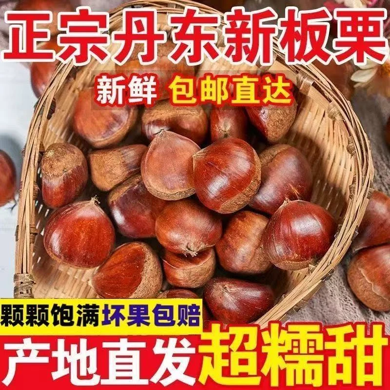 鲜榜咖2025丹东头茬板栗5斤现摘现发软糯香甜难剥皮坏果包赔(KL2)