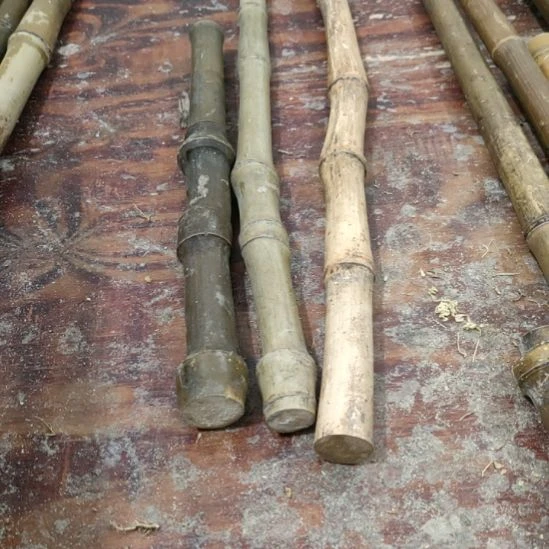 想***实心玉竹手把件金条料