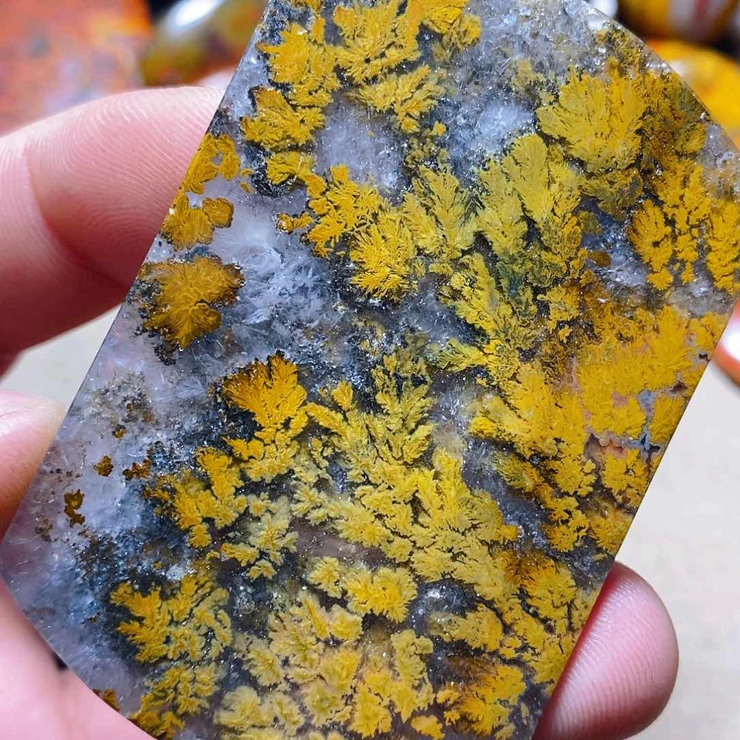 玛瑙/玉髓颈饰未镶嵌竹**生