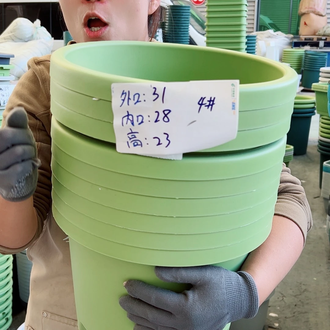 瑕疵球根盆4#果绿色5个无托