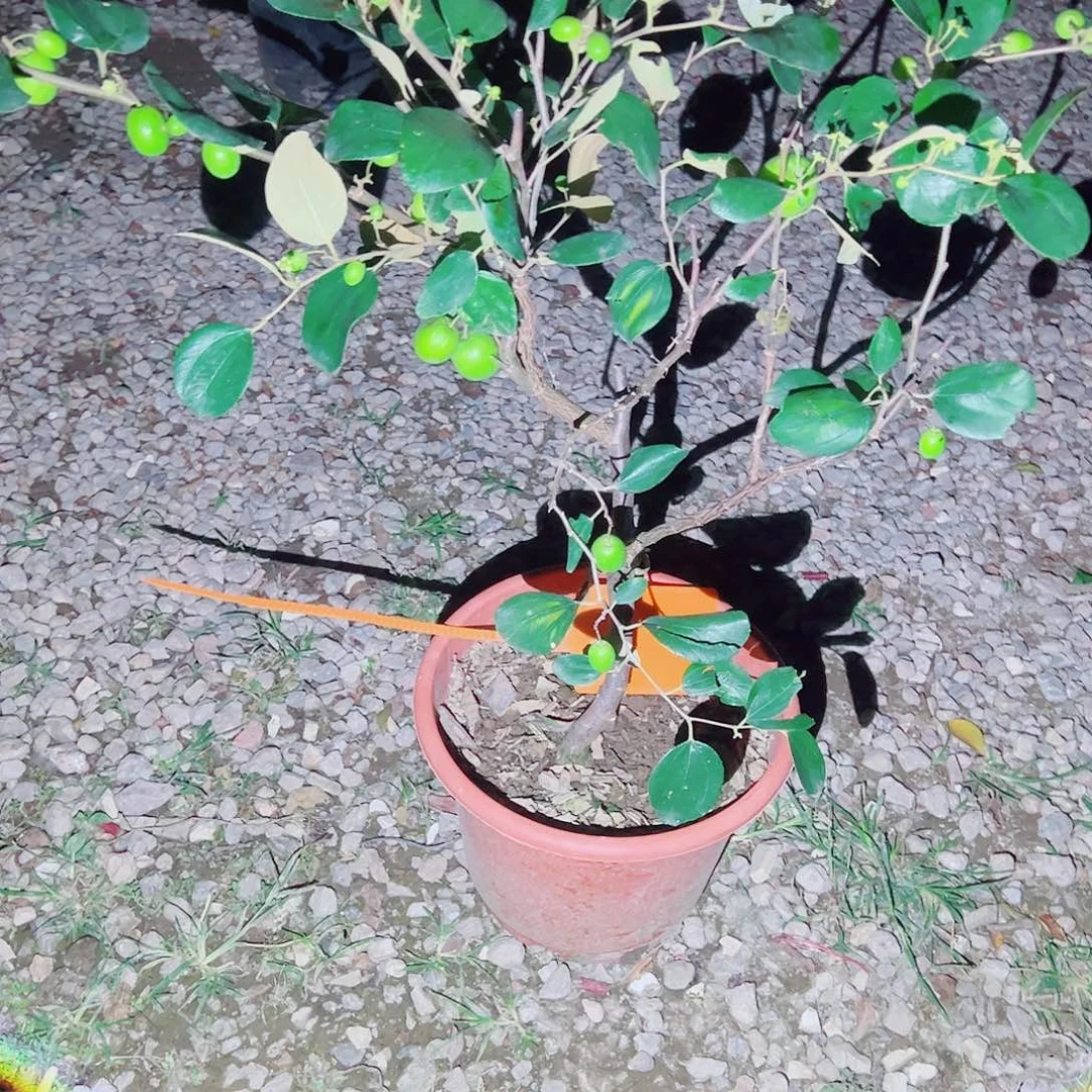 用***1完全开放1111111111