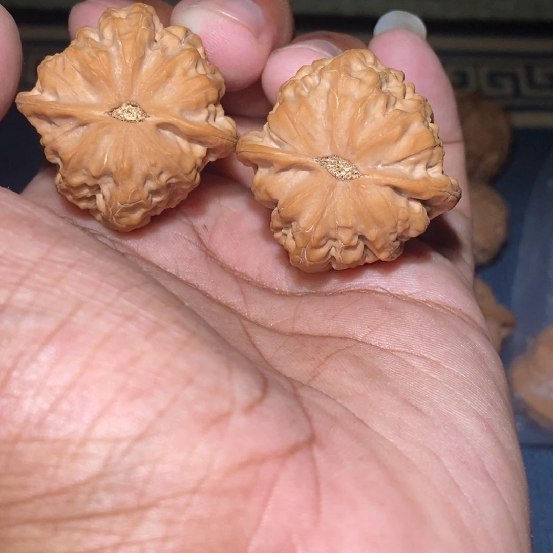 你***k文玩核桃吊坠36尺寸全品无修蓟县佛肚