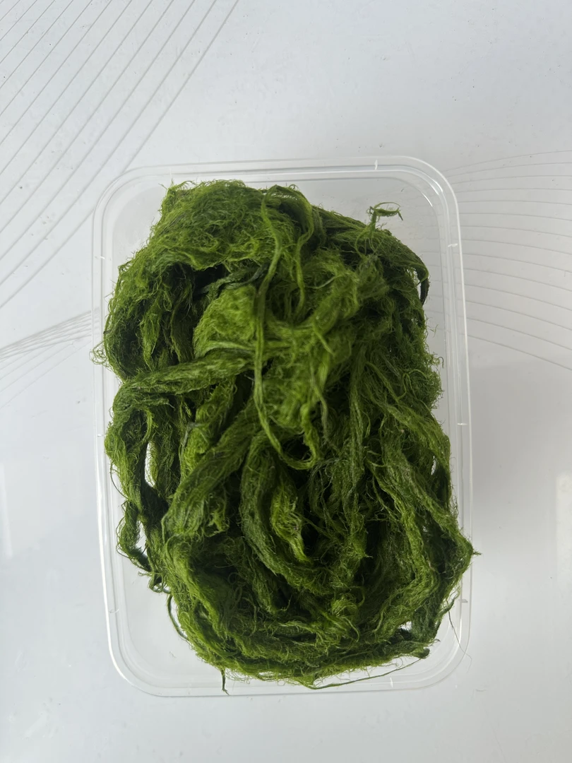 有渔工坊《鲜青苔》冲钓青苔 鳊鱼清波草鱼鲤鱼天然饵料