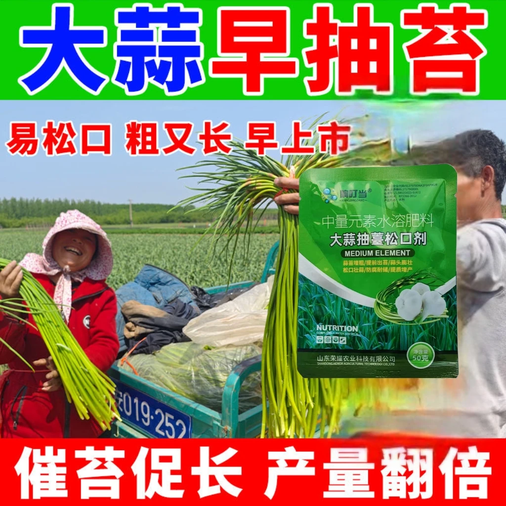 大蒜专用返青抽苔松口剂壮苗防干尖黄叶水溶肥叶面肥生根促长
