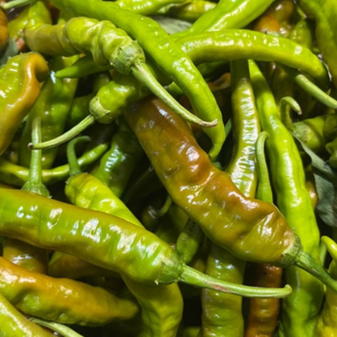 湖南衡阳新鲜特辣紫红皱皮辣椒农家自种当季时蔬现摘现发