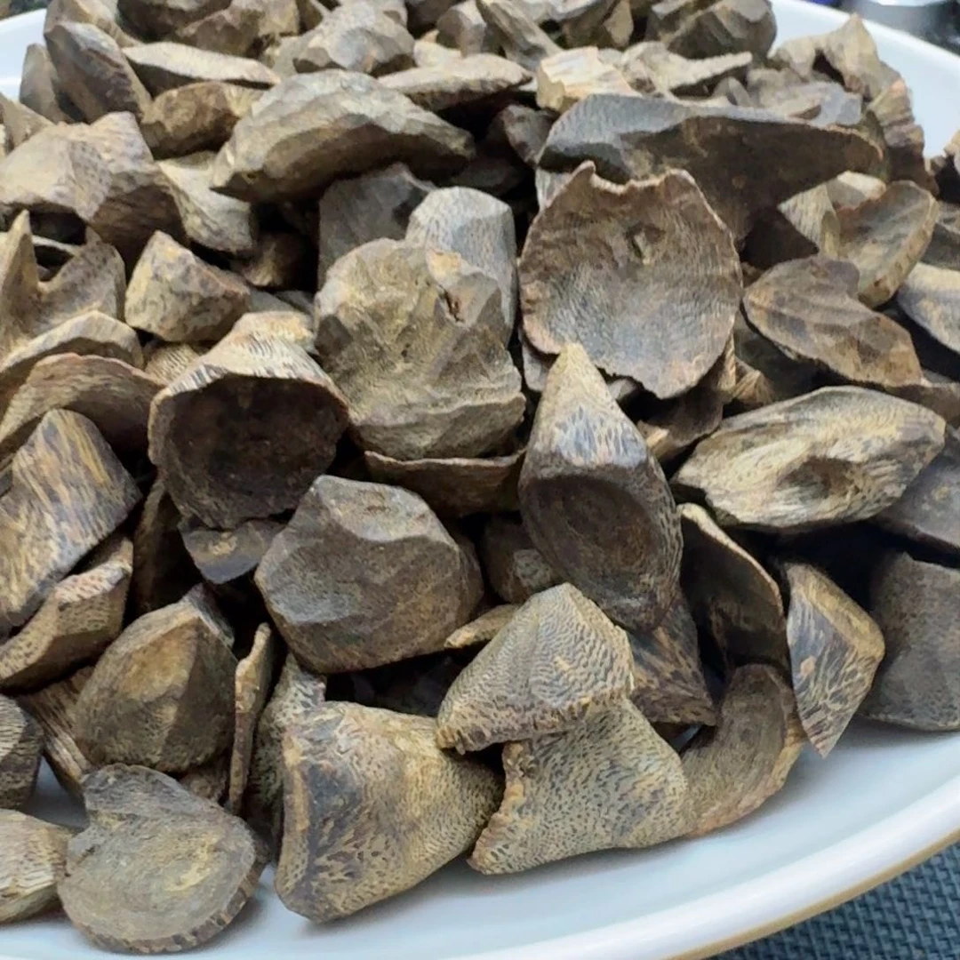 沉香沉香木制品绿奇楠沉香树丁壳10克