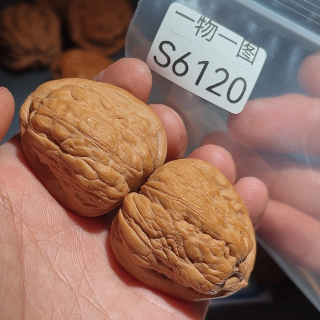 文玩核桃把件H****u京西金蝉