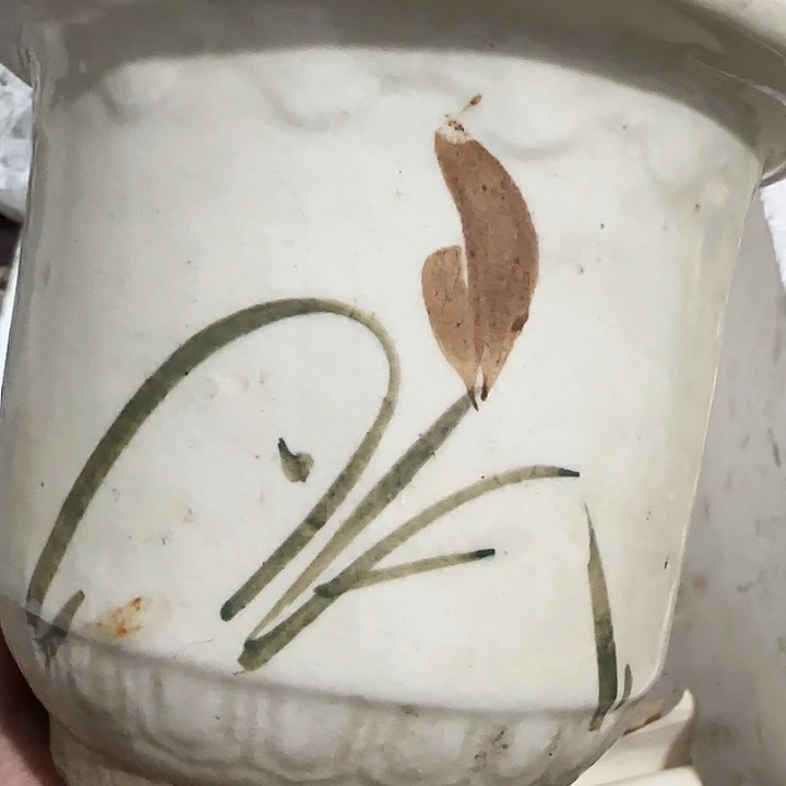 我***坐香榧木gyghghghvvv