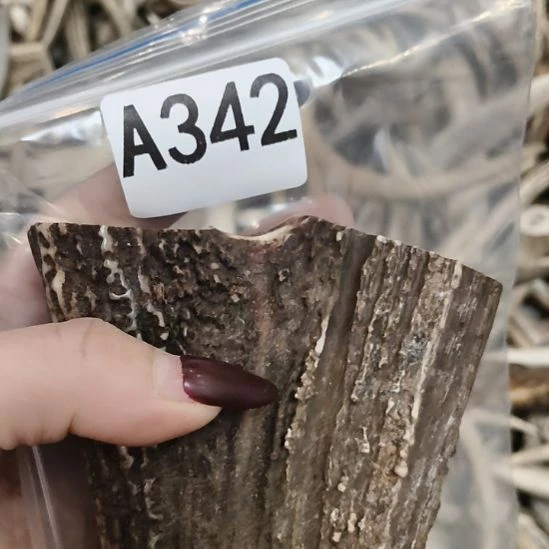 银***河鹿角鹿角鹿角鹿角鹿角