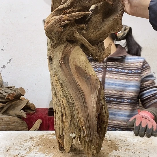 海***.柏木我们都是好孩子