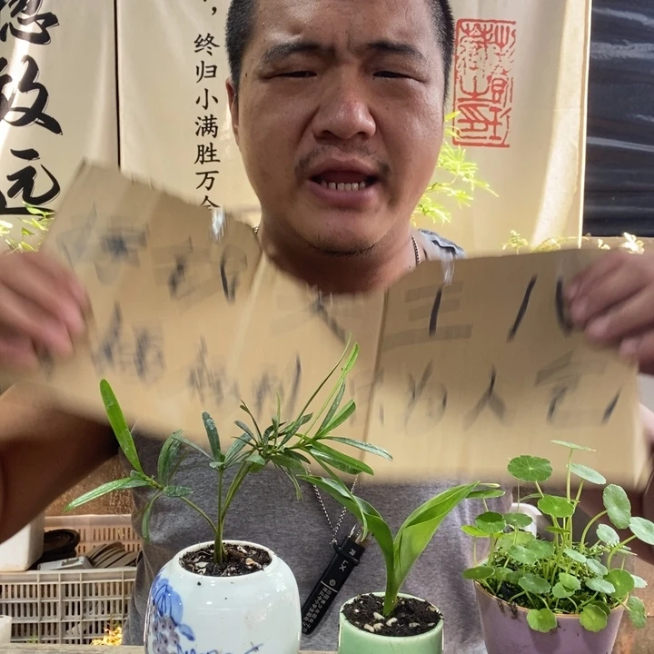 无花朵退款拉黑拉黑63