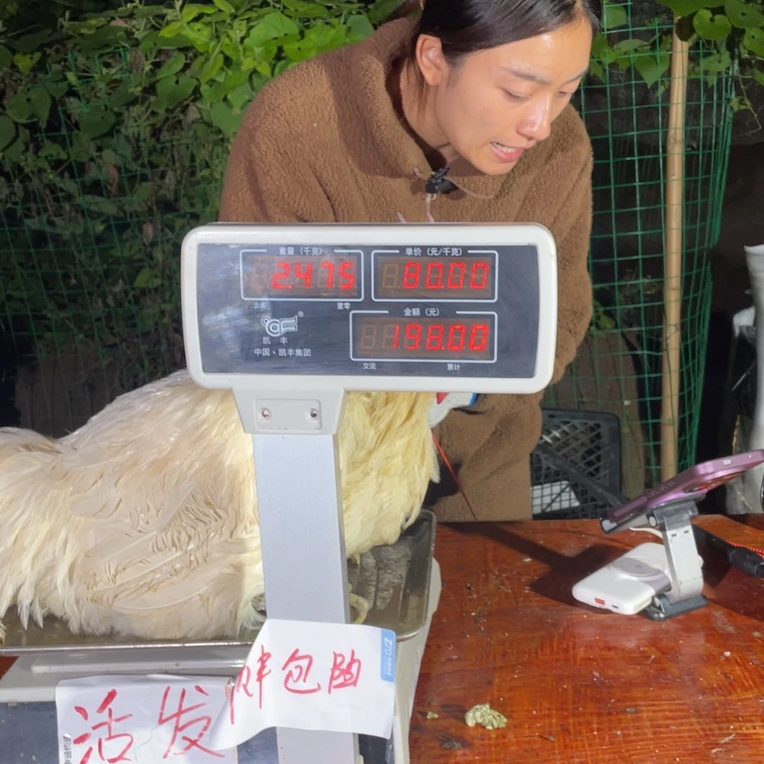 长期中国大陆包装宰杀162号