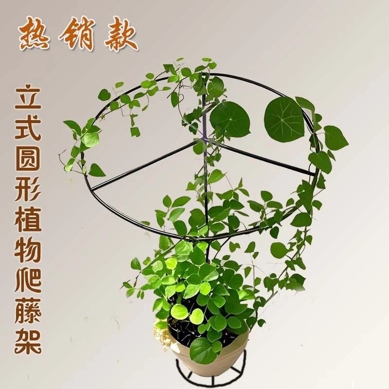龟甲龙爬藤架山乌龟金不换园艺植物固定造型铁艺金属攀爬圆形花架