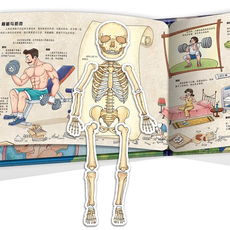 人体3D立体书翻翻书 认识我们的身体儿童趣味科普探秘互动游戏书