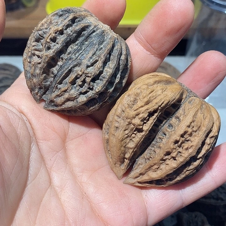 文玩核桃把件6666666666