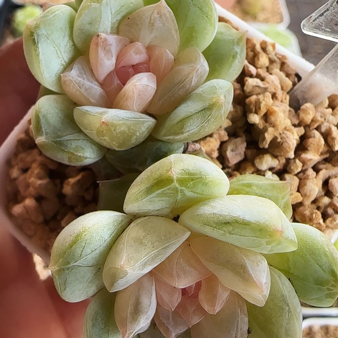 不****名306号哈哈哈哈哈哈