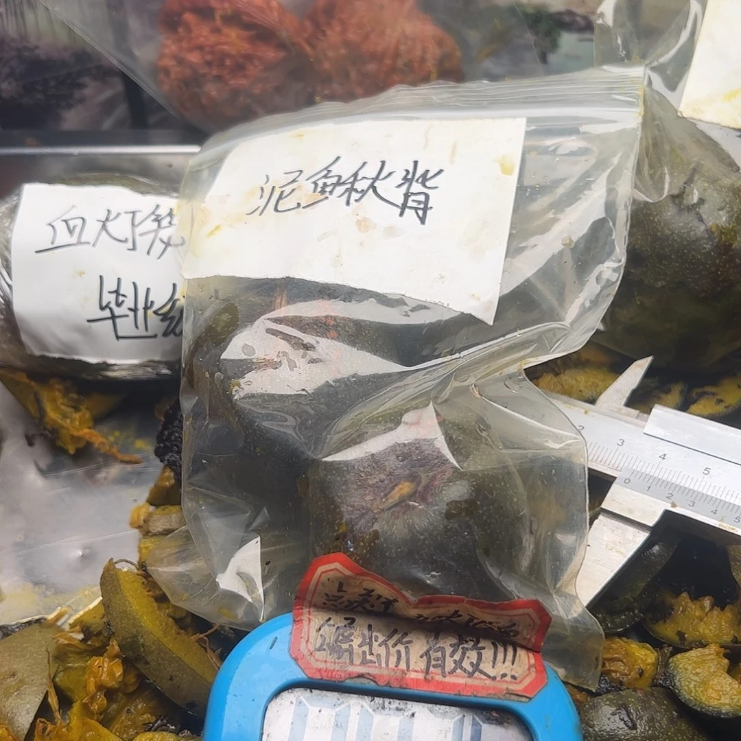 ▬***人刚和斤斤计较哭唧唧