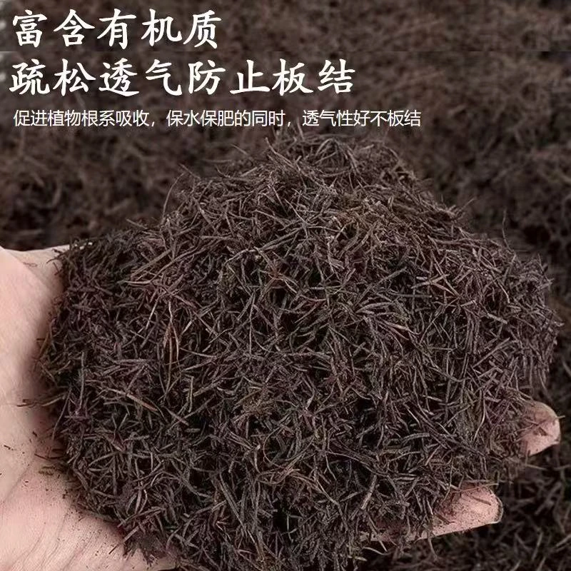 发酵花土纯松针腐熟营养土养花奶糖君子兰松针土纯松针腐熟松针