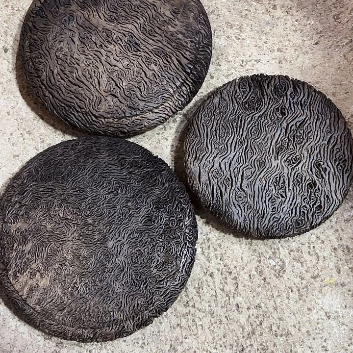 木铁栎木树瘤干泡台
