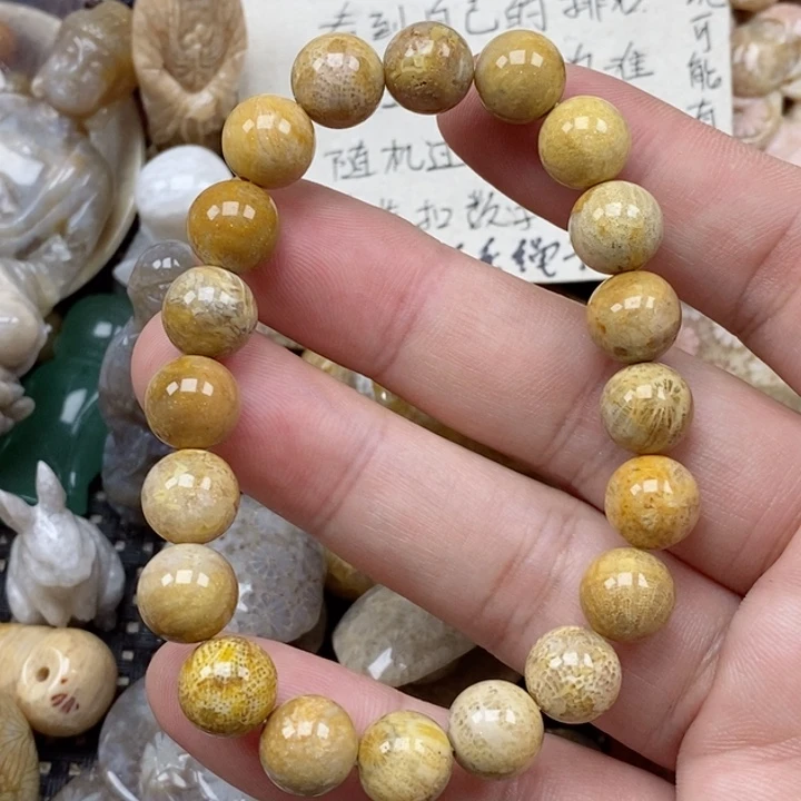 硅化珊瑚（珊瑚玉）未镶嵌颈饰