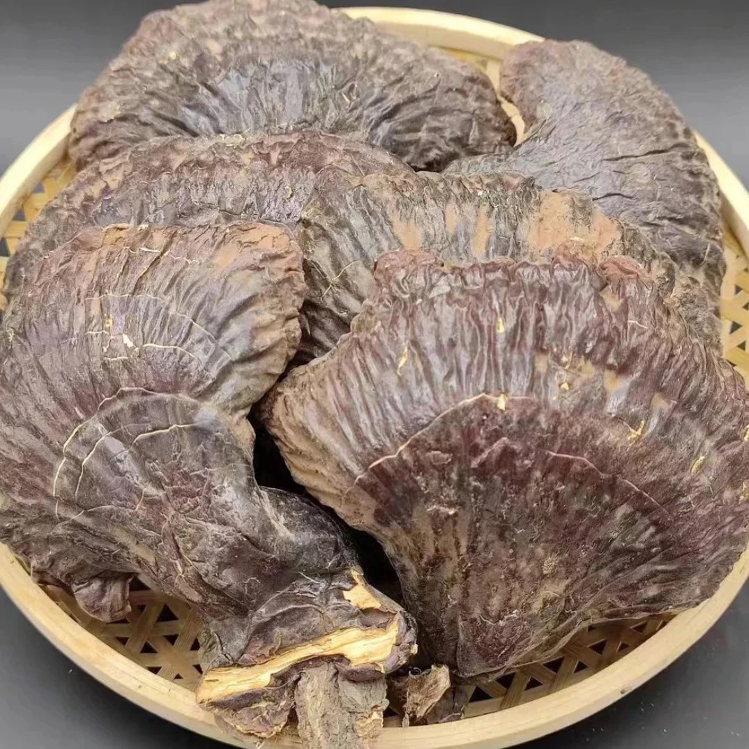 云南腾冲山货土特产【白肉灵芝】