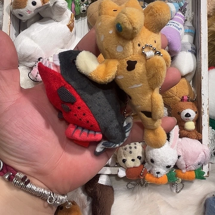 毛绒两只哈哈哈哈哈