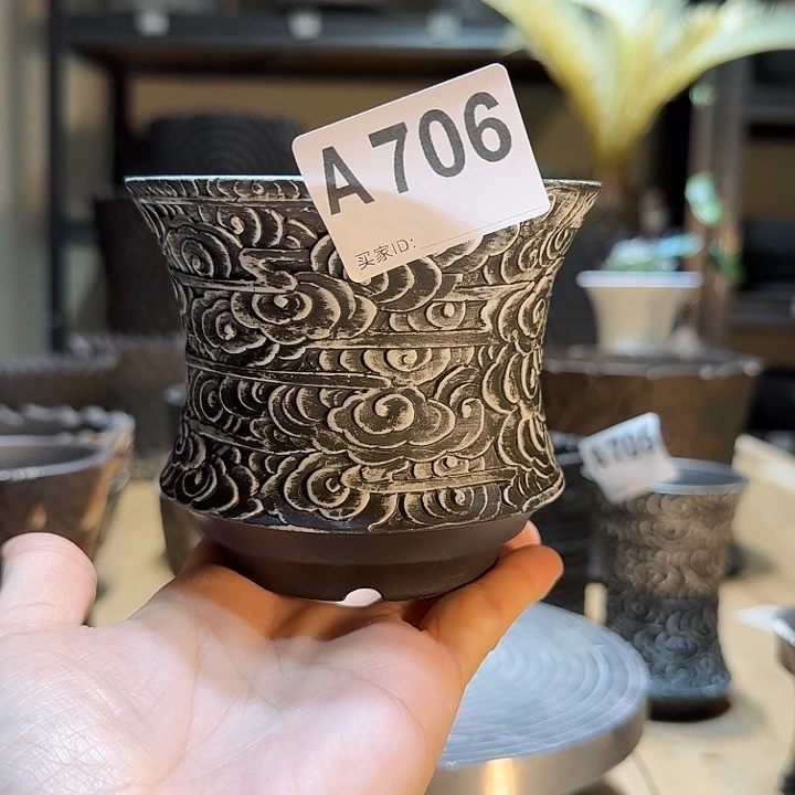 内口9.5高8.8块根植物盆
