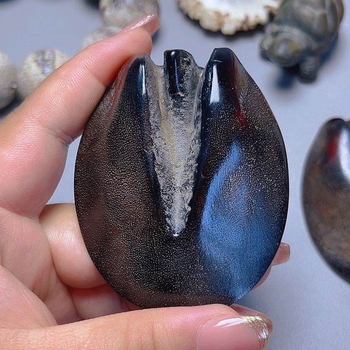 大果紫檀（缅甸花梨）其他