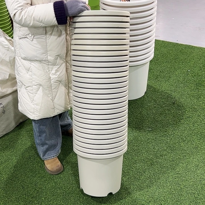 微瑕四季6号口33高33米色无托7只