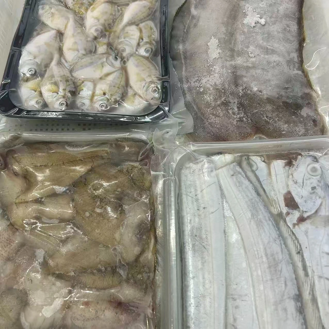 《财哥专属》谢记海产品新鲜鱼类套餐4号