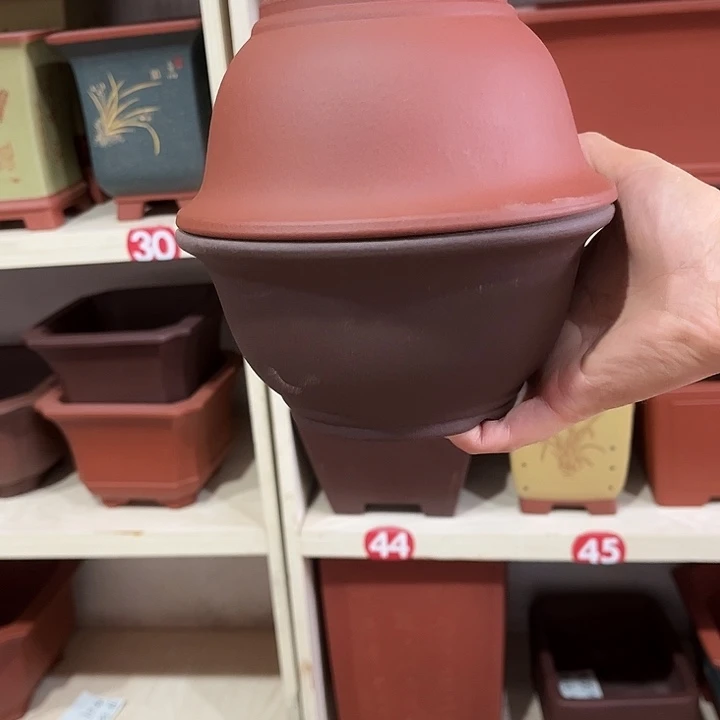 两个一红一紫2222222