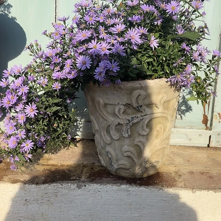 许纯的花房 钩花 复古白