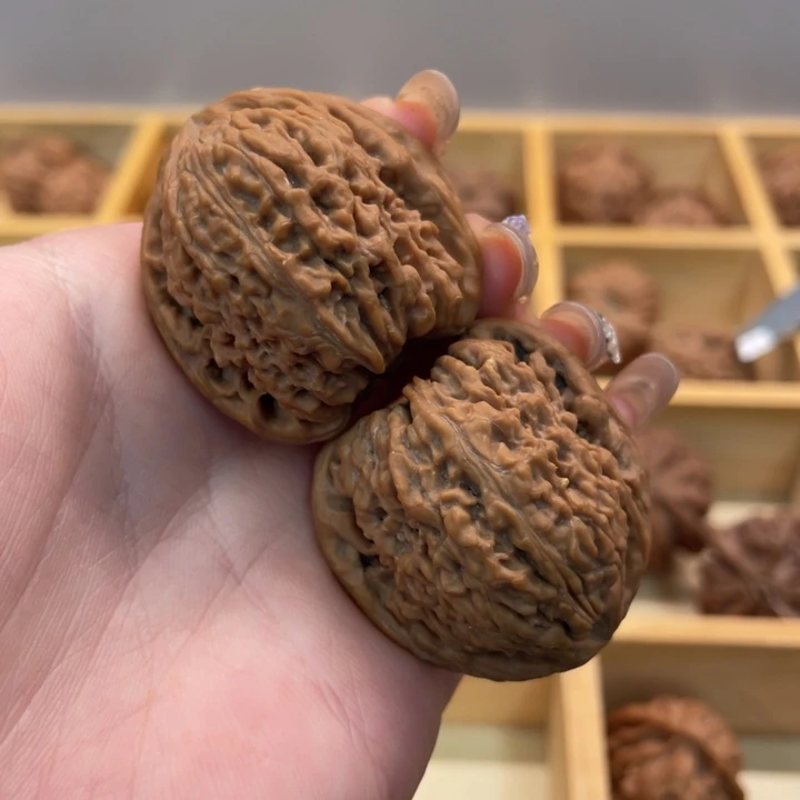 大叶紫檀（黑酸枝木类）南疆37