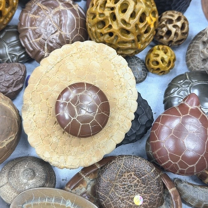 *****石材龟纹石井哦石