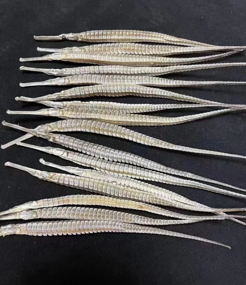 湛江六角海龙深海海龙海产干货煲汤泡酒