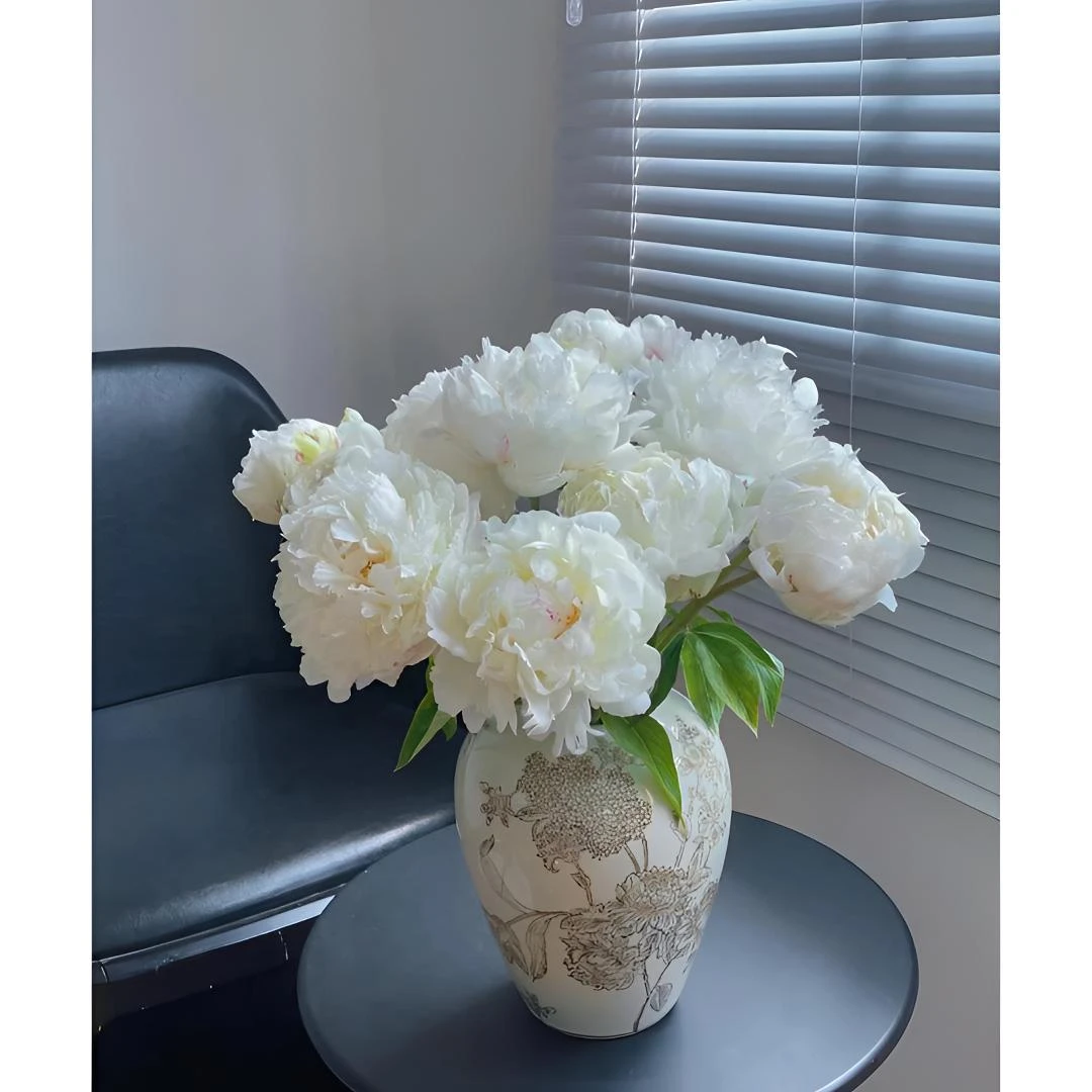 【奶油碗】精品芍药鲜切花母亲节鲜花进口重瓣水养客厅山东菏泽