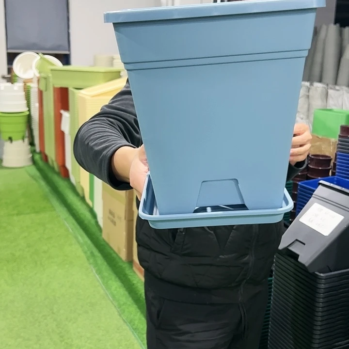 正品方盆口20高22蓝色6支带托