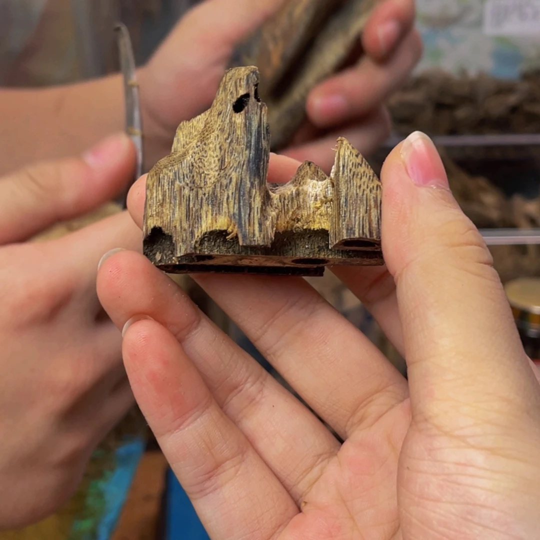 沉香碎屑沉香10克16陆河