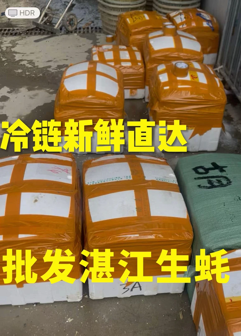 湛江生蚝鲜活95斤装新鲜牡蛎带壳现捞海蛎子海鲜生蚝顺丰包邮