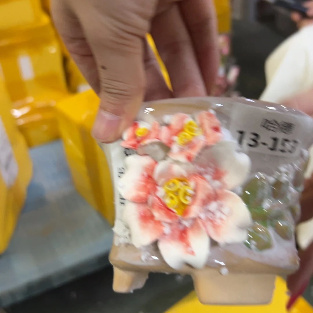 463瑕疵拍满18.8米包邮发货拆退件
