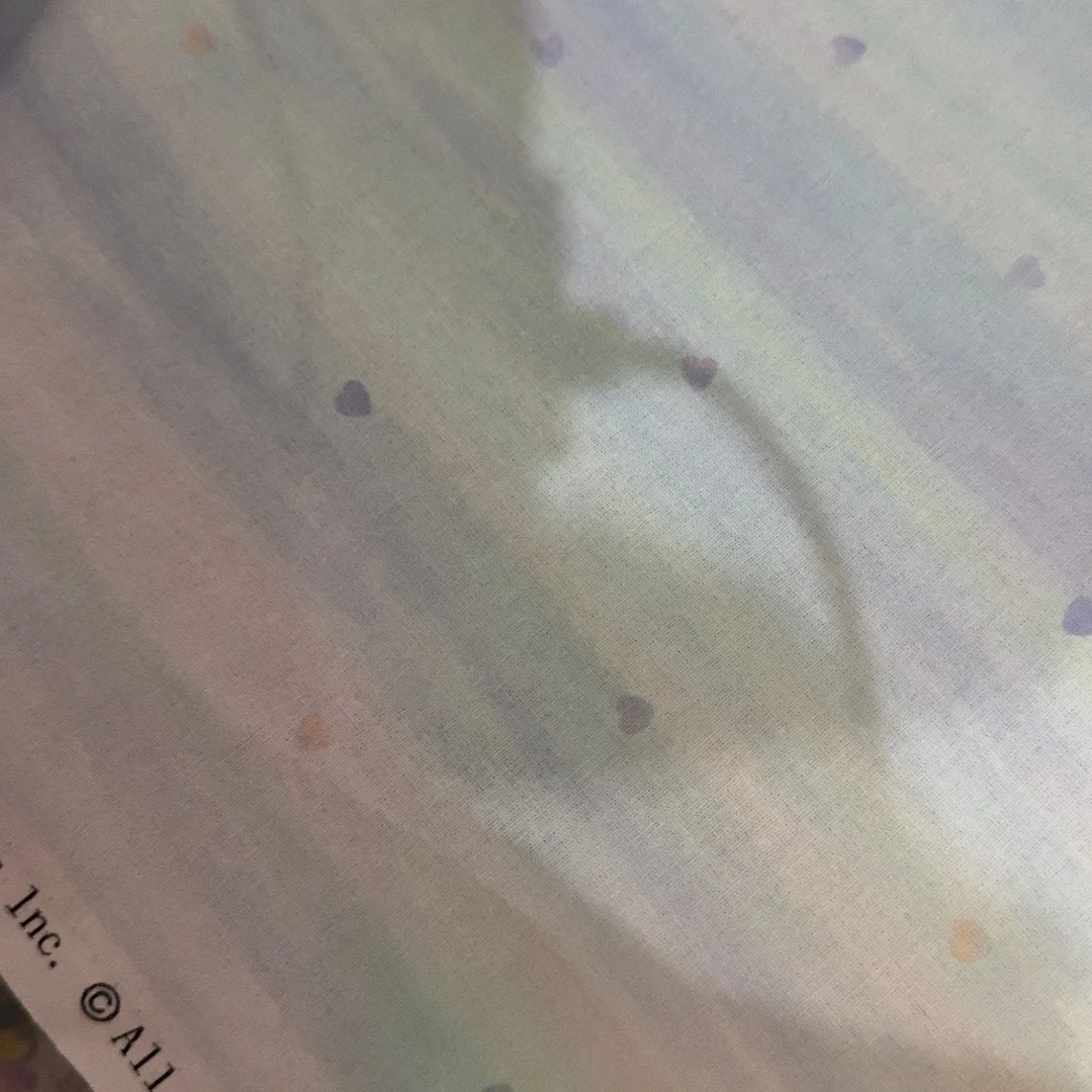 1米价纯棉平布X1.1米宽16区