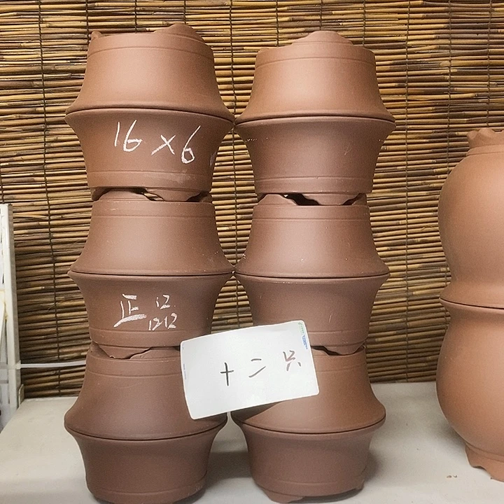 花盆紫砂我在外面