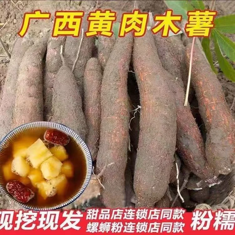 广西新鲜现挖华南九9号黄肉黄心木薯粉糯香甜糖水店同款粗粮代餐