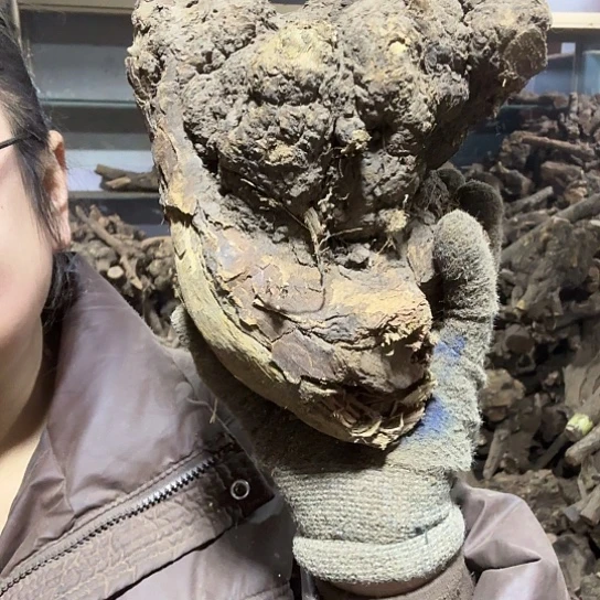 香榧木吴****7火琉璃的故事毛料摆件