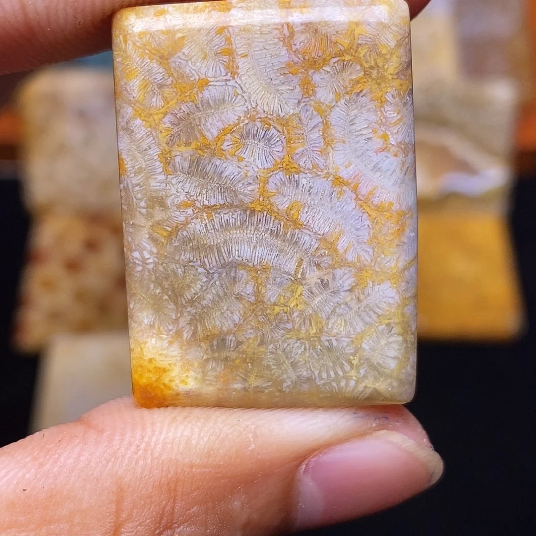 砚***白硅化玉合金珊瑚玉