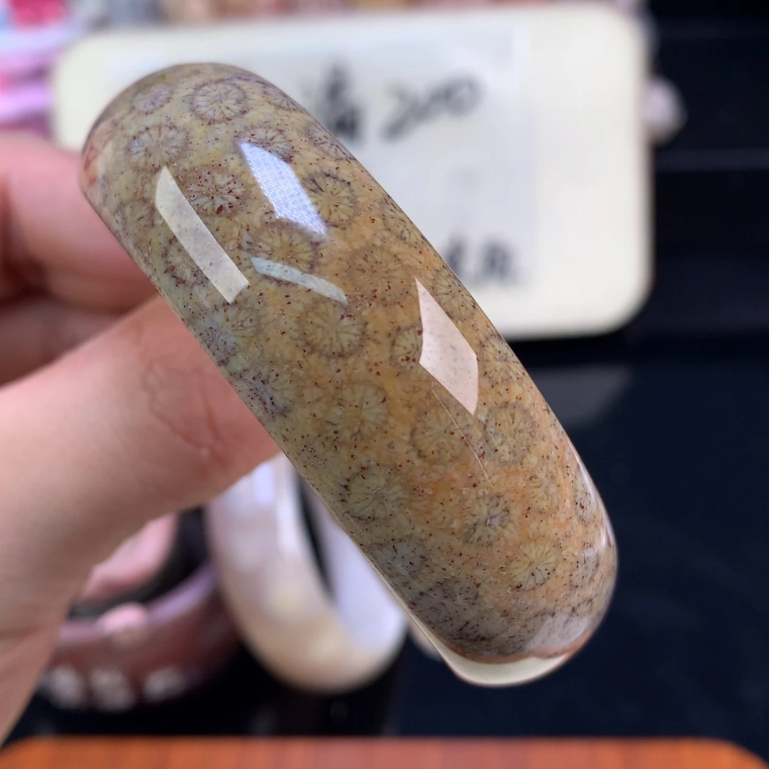 硅化珊瑚（珊瑚玉）未镶嵌颈饰57号紫彩沙沙55.6圈