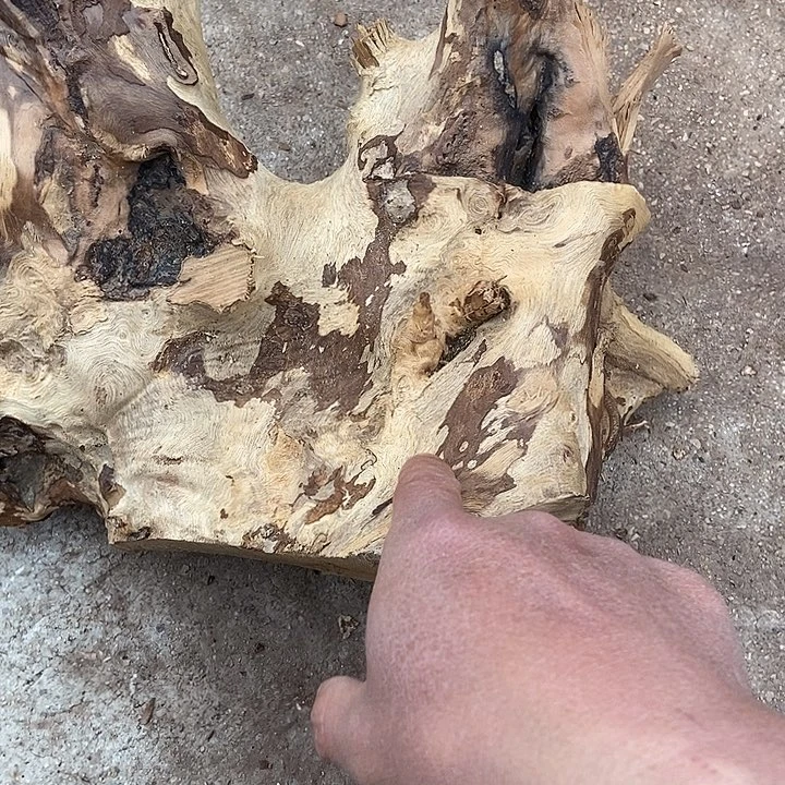 健***楠木（金丝楠）其他