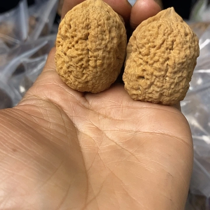 核桃云南铁核桃基地45