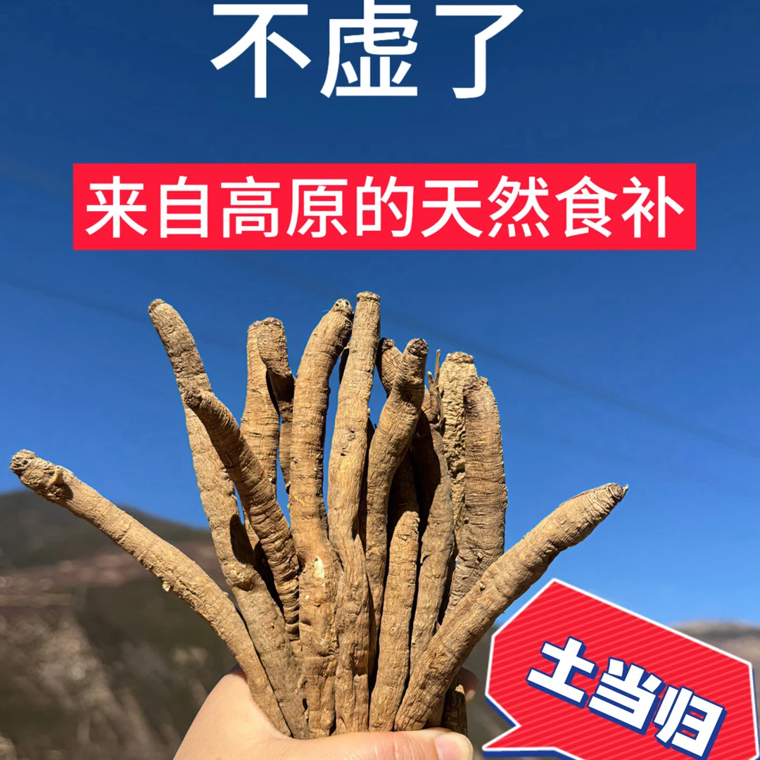 现收藏民土货当归炖汤炖鸡煮水煮蛋炖猪蹄排骨超香